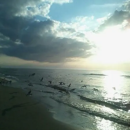 Amber Economy House &