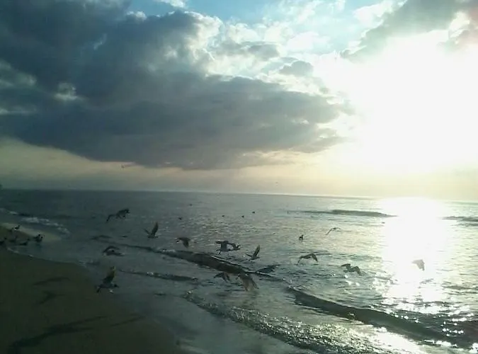 Amber Economy House &